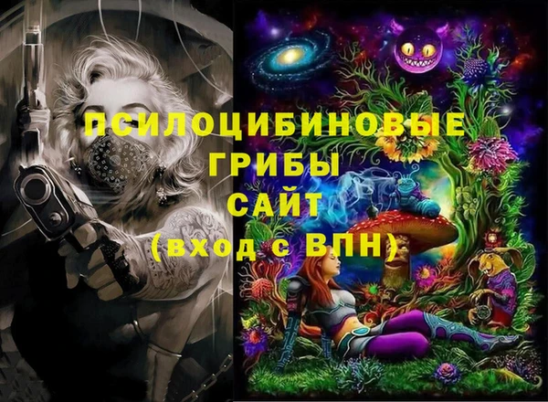 СК Верхний Тагил
